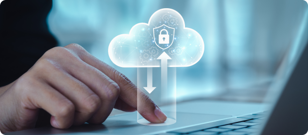 Entel Secure Cloud - VMWare®